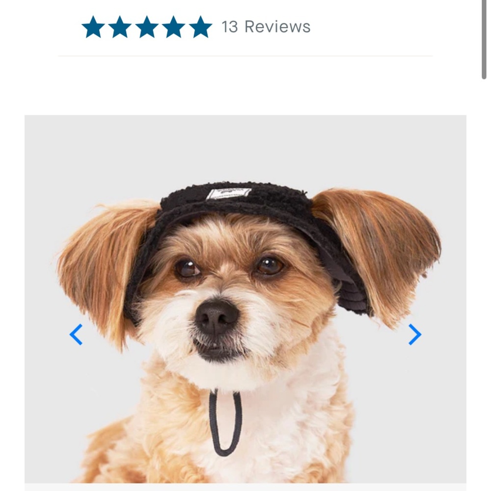 Canada Pooch Cool Factor Bucket Hat NWT